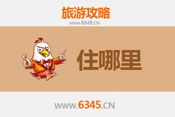 双鸭山岭东旅游民宿全攻略：探索自然与人文的完美融合